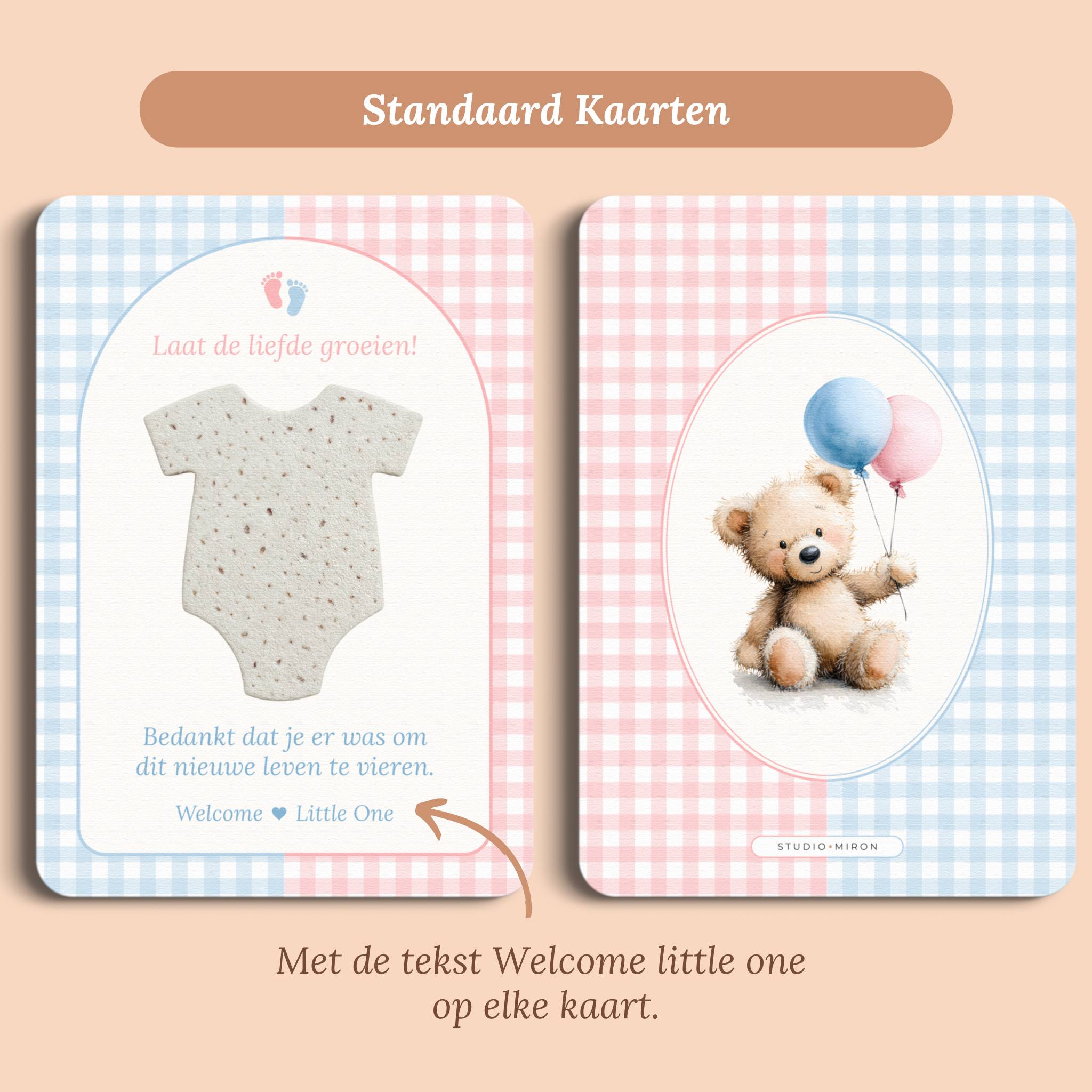 Zaadpapier Rompertje Cadeau | Gingham Roze-Blauw