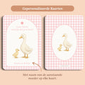 Babyshower decoratie mini welkomstbord A6 naamkaart gingham roze gepersonaliseerd voor en achter Studio Miron