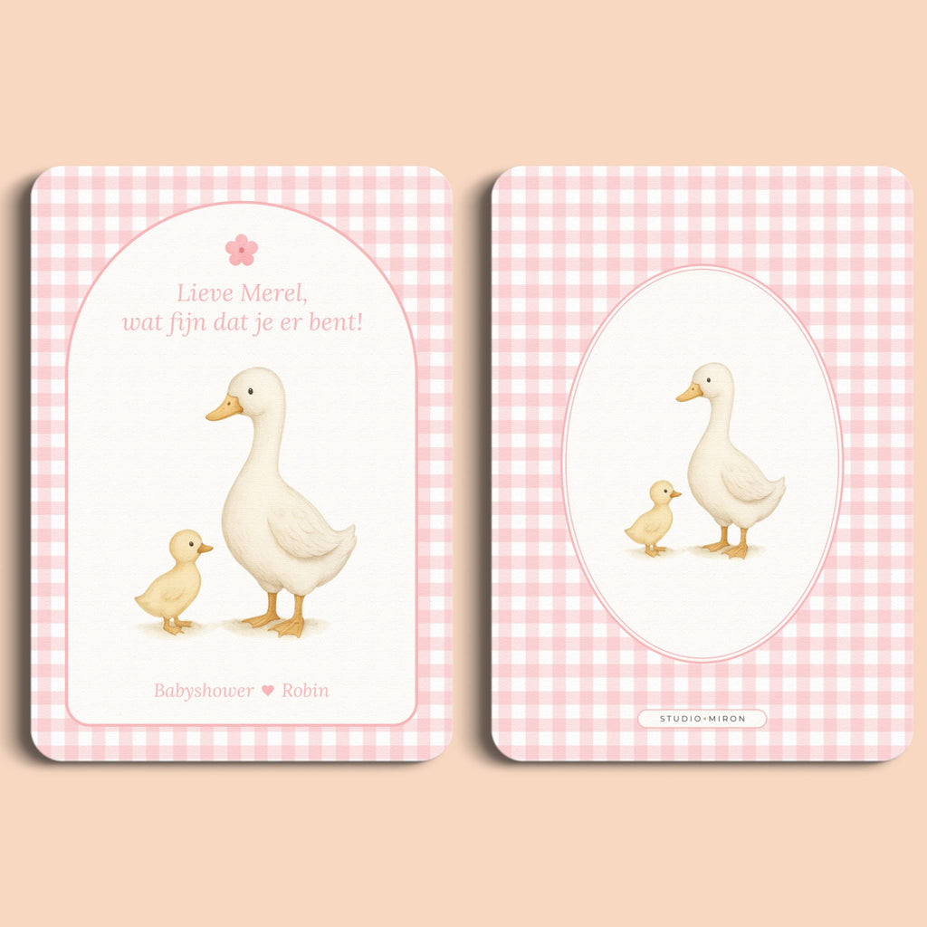 Babyshower decoratie mini welkomstbord A6 naamkaart gingham roze voor en achter Studio Miron