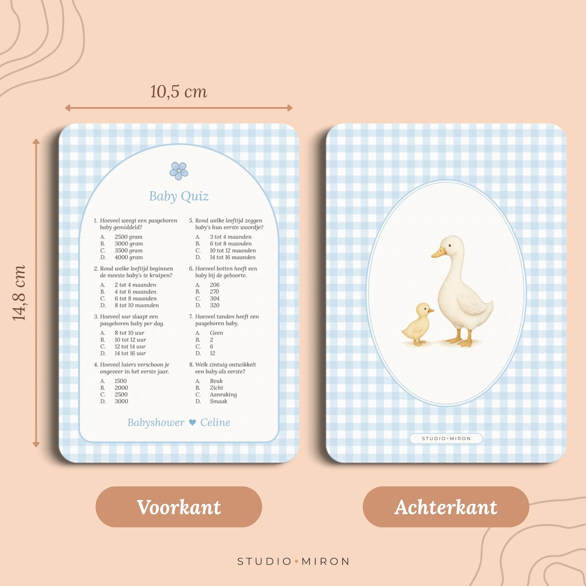 Baby Quiz | Gingham Blauw