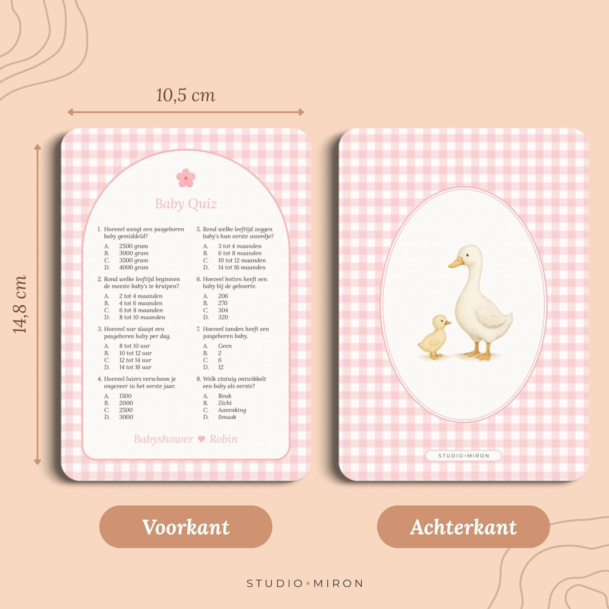 Baby Quiz | Gingham Roze