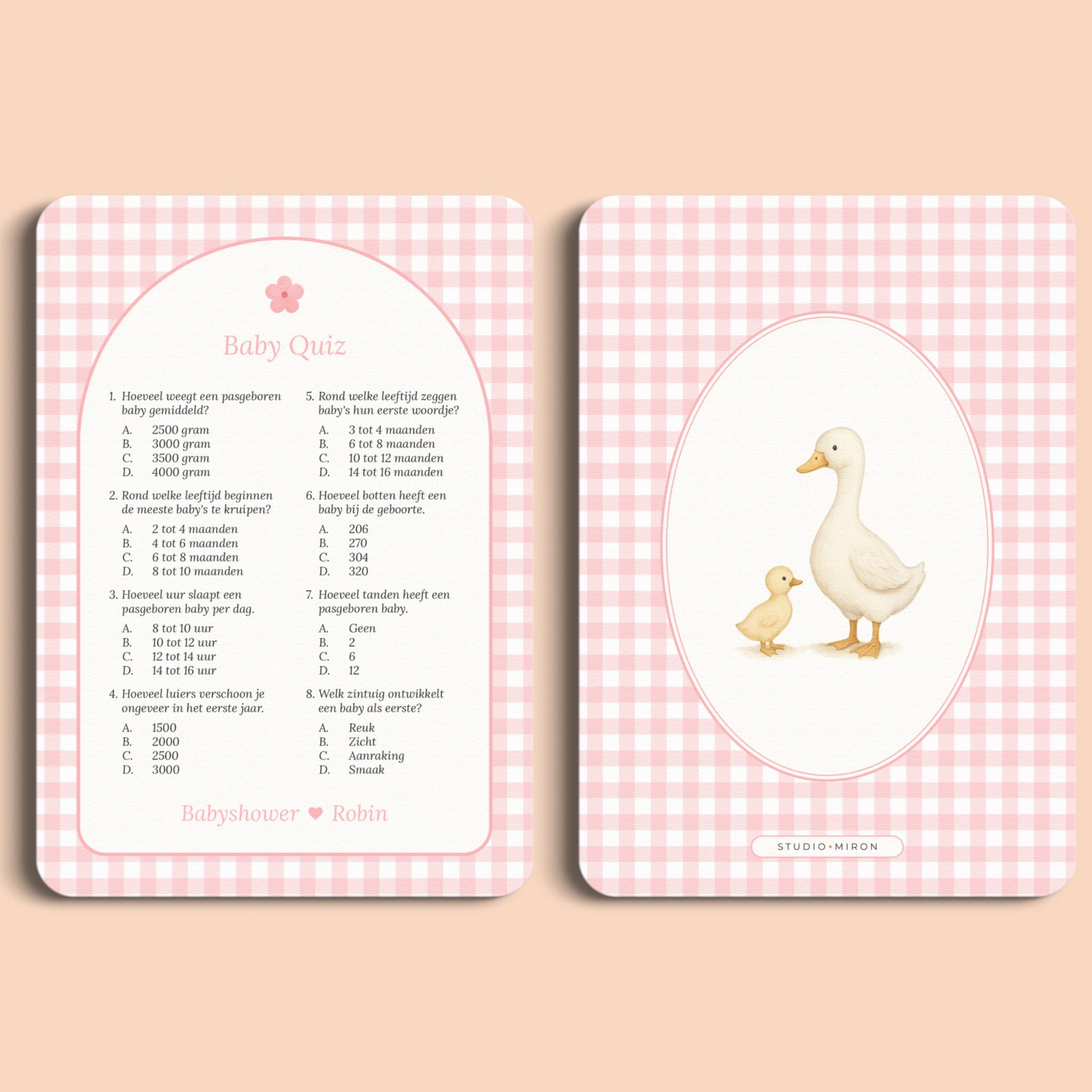 Baby Quiz | Gingham Roze