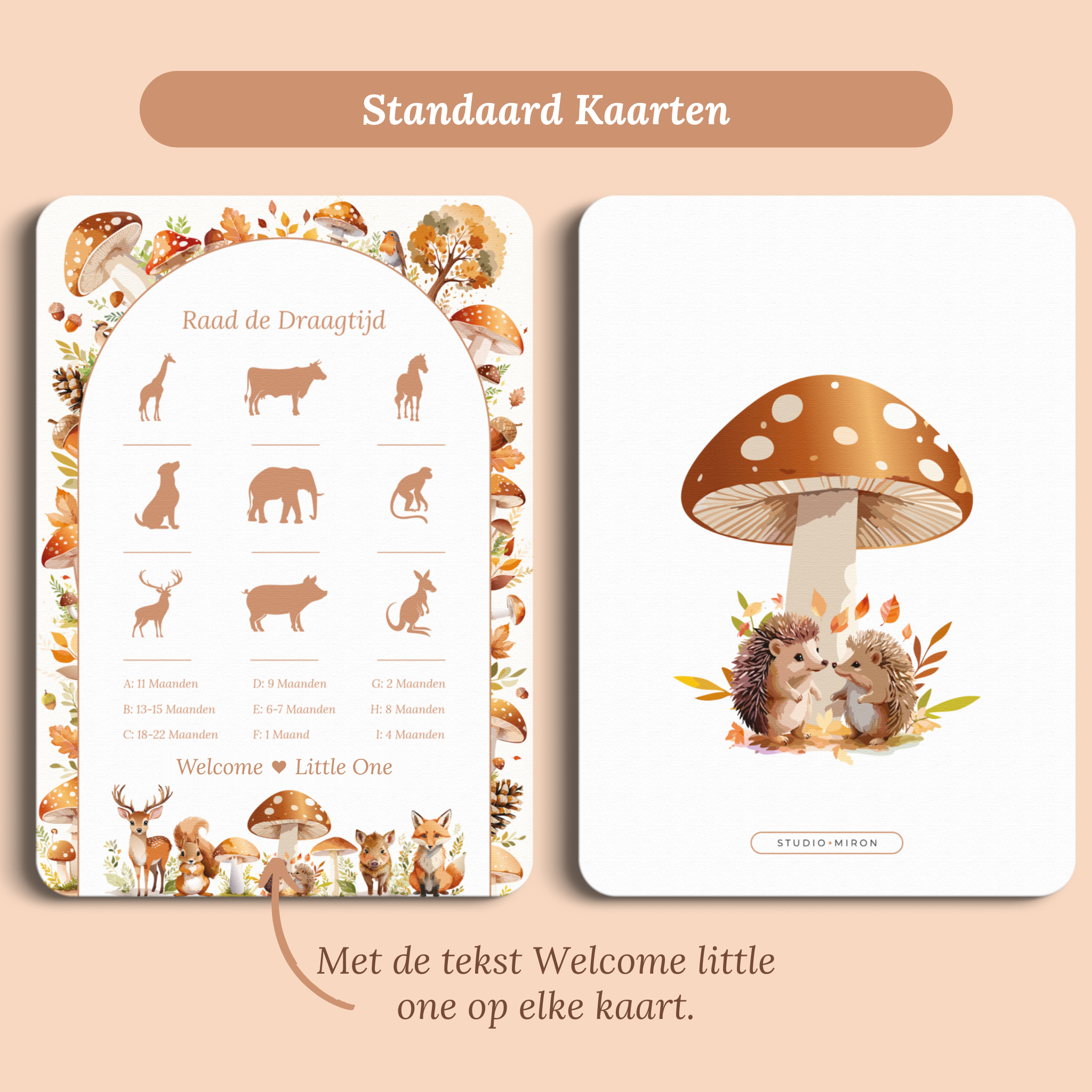 Babyshower spelkaart Raad de Draagtijd in Bosdieren stijl, standaardversie met Welcome Little One – Studio Miron